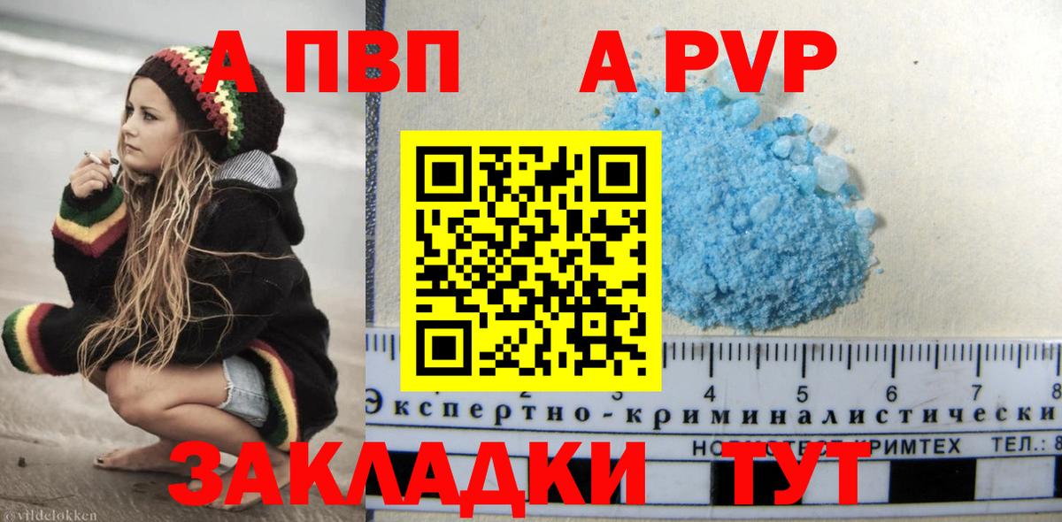 Гудермес  А ПВП СК  Вход с VPN  APVP СК  Альфа ПВП СК 
