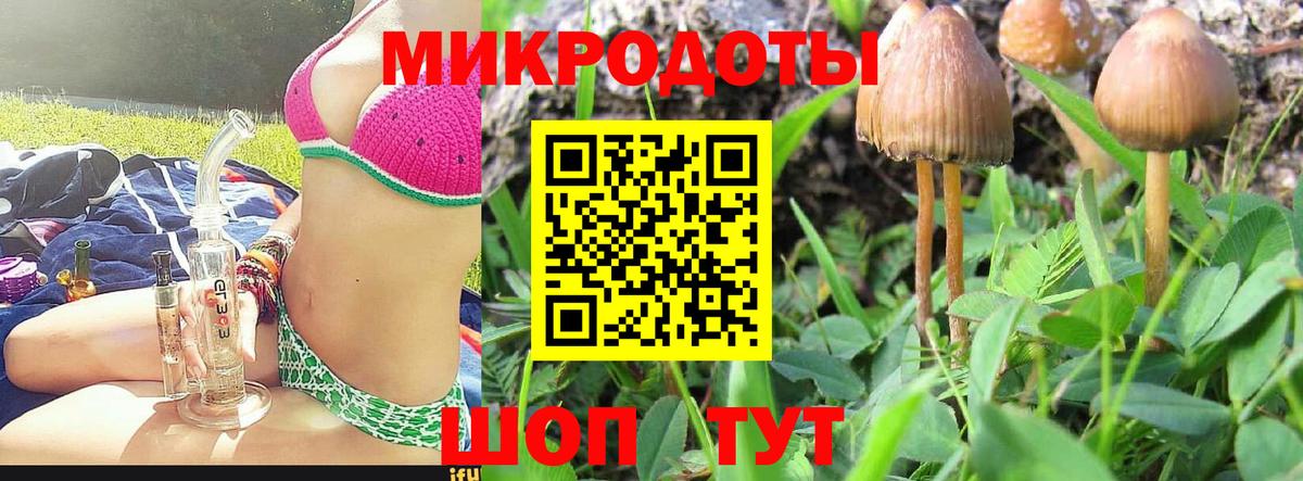 Галлюциногенные грибы Psilocybe  Вход с VPN  Гудермес 